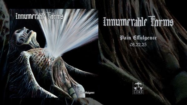 Inumerable Forms