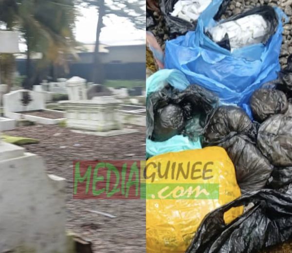Conakry : saisie de drogue dans un cimetière de Kaloum : les Services Spéciaux interpellent un suspect