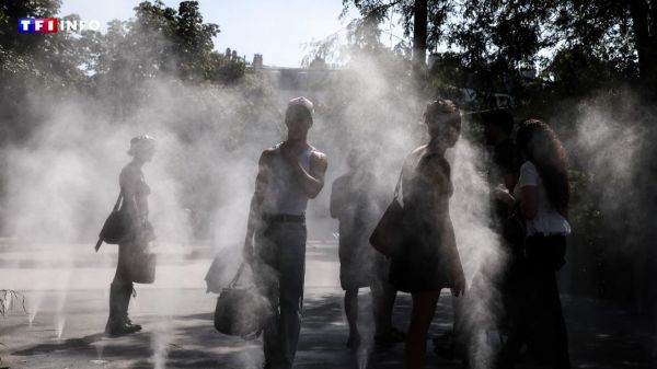 EN DIRECT - Canicule : la vigilance rouge maintenue pour 4 départements, 55 en orange | TF1 INFO