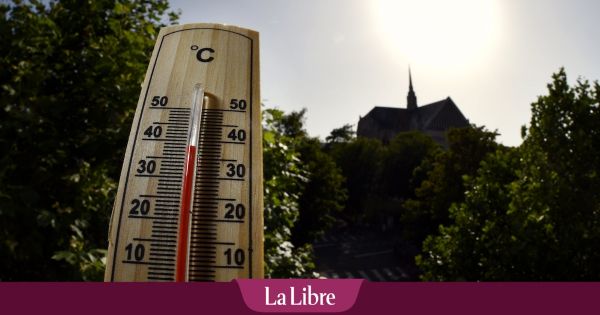 Il va encore faire très chaud ce mercredi en Belgique : trois provinces placées en alerte orange et des maxima qui iront jusqu'à 38 degrés 