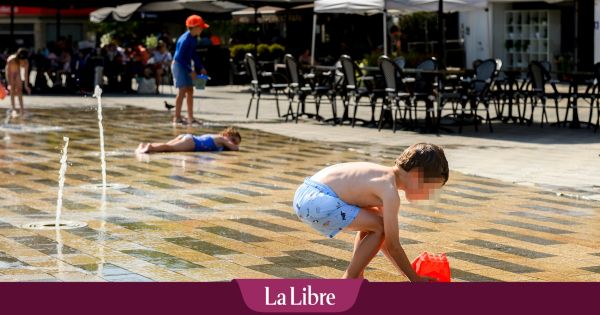 Pour éviter une surmortalité, les villes belges doivent changer leur fusil d'épaule