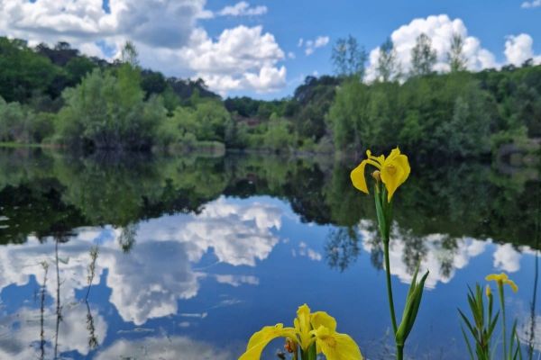 Dordogne: Quand les chasseurs transforment un village vacances abandonné en espace dédié à la biodiversité
