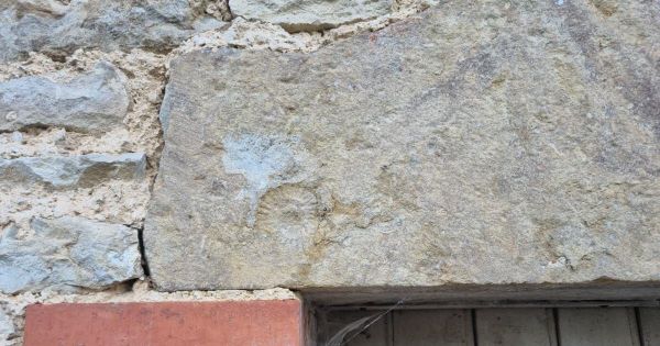Marigny-le-Cahouët. Cet été, ouvrez l'œil : des fossiles se cachent jusque dans les murs de nos maisons