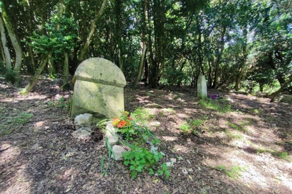 "C'est un petit joyau qu'il faut préserver" : à la découverte du cimetière du petit Paris perché sur les hauteurs de la Drôme