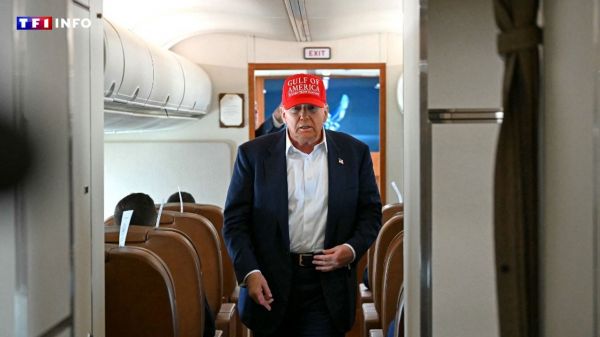 Israël prêt à finaliser les termes d'un cessez-le-feu de 60 jours à Gaza, selon Donald Trump | TF1 INFO