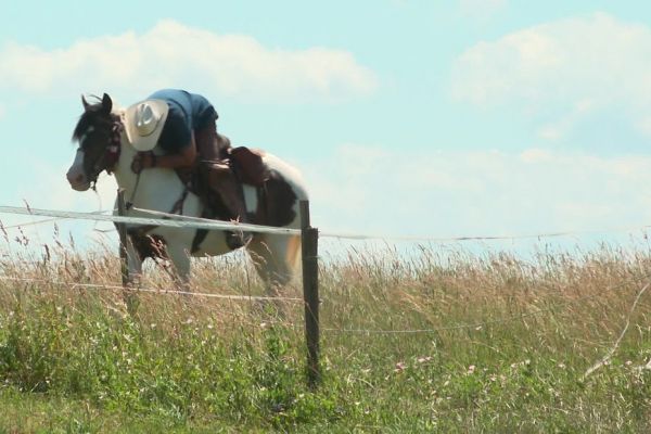 "Les chevaux ressentent les choses 1000 fois plus que nous”, pour ce cavalier, les chevaux ne sont pas des outils qu'on utilise, mais d'autres âmes qui peuvent beaucoup nous apporter