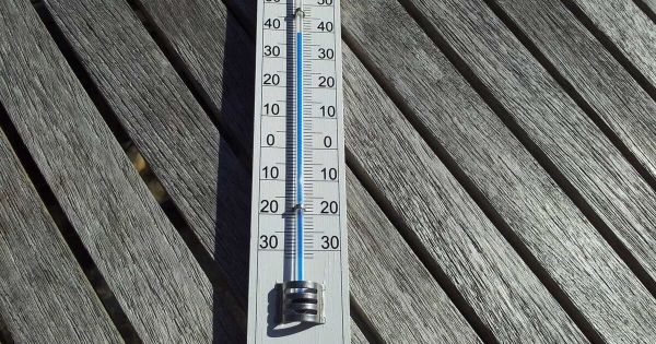 L'alerte rouge canicule est maintenue dans 4 départements ce 2 juillet