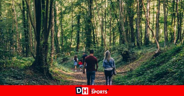 Plusieurs espaces verts bruxellois reconnus Natura 2000 pour préserver la biodiversité