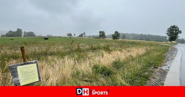 Somme-Leuze: recours contre le projet de construction de deux poulaillers industriels à Sinsin : « On a besoin de plus de garanties »