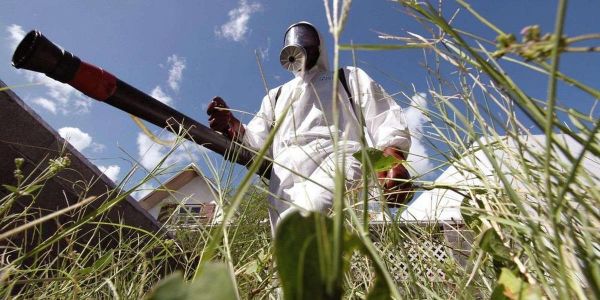 Chikungunya en France : infection, symptômes, traitement... ce que l'on sait du virus