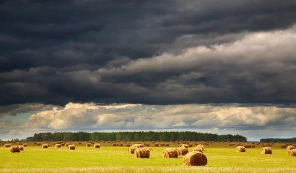 Météo en Tunisie : hausse des températures et orages attendus dans les régions ouest et centre
