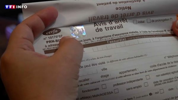 Arrêts maladie : à quoi ressemble le nouveau formulaire anti-fraude de la Sécurité sociale ? | TF1 INFO