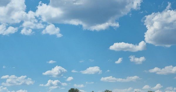 Côte-d'Or. Un premier bilan de moissons plutôt bonnes, mais des prix en berne