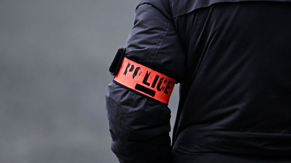 Femme tuée devant ses quatre enfants à Avignon: son conjoint mis en examen