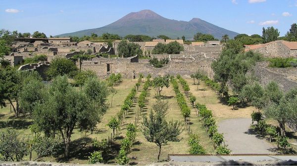 Un jardin à Pompéi restauré : c'est exactement ce que les habitants ont vu il y a 2 000 ans !
