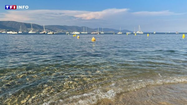 CARTE - Pavillon Bleu : découvrez les plages et ports labellisés près de chez vous   | TF1 INFO