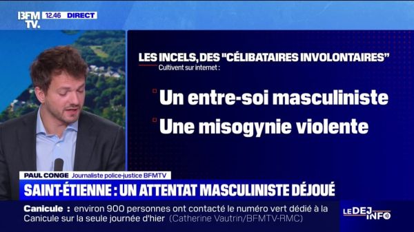 Saint-Étienne: ce que l'on sait du projet d'attentat, déjoué, d'un masculiniste appartenant à la mouvance "incel"