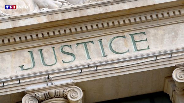 Agression sexuelle, tentatives d'enlèvement : la mère d'une adolescente en situation de handicap lance un appel à victimes | TF1 INFO