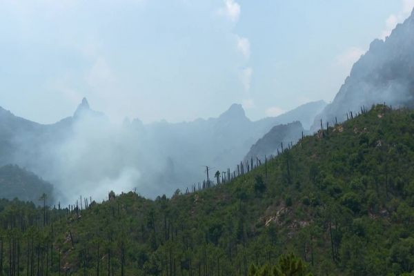 Le feu de Quenza est stabilisé