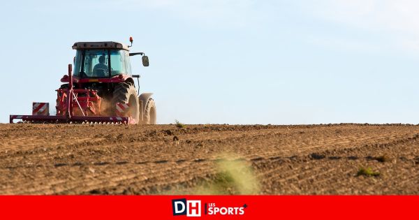 Péruwelz : Une enquête pour resserrer les liens entre agriculteurs et riverains
