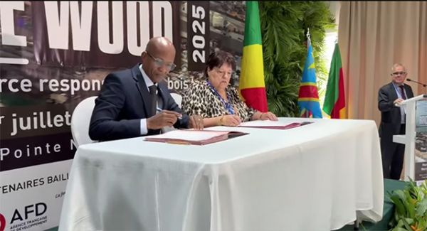 Gestion durable des forêts : le Gabon adhère à l'ATIBT pour renforcer la compétitivité de ses bois tropicaux