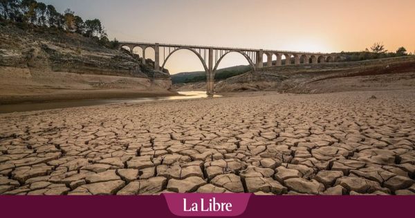 Pour ce climatologue, la Belgique franchira "plus que probablement" les 40°C cet été