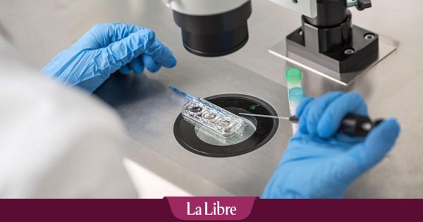 Dons de sperme: enquête du parquet de Bruxelles sur des dysfonctionnements dans des centres de fertilité