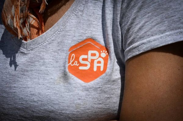 La SPA lance sa campagne d'été contre l'abandon des animaux, avec Gilles Lellouche