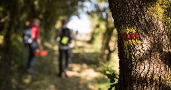 Bretagne, Corse ou Bourgogne : loin des sentiers de rando saturés, une floppée d'alternatives de toute beauté