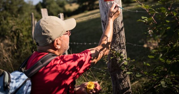 Randonnée : le long des sentiers, les bénévoles couvent la voie