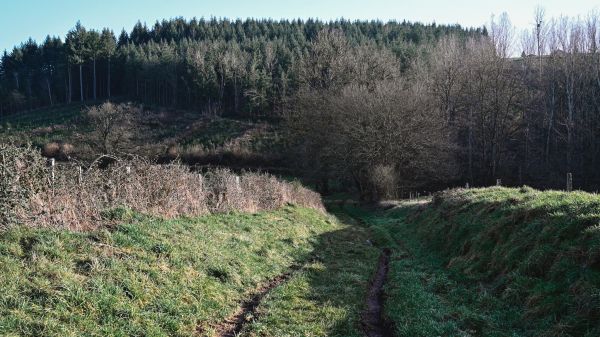 Deux "enfants fantômes" découverts dans une ferme isolée en Italie, leur père était "obsédé par le Covid et terrifié par les virus"