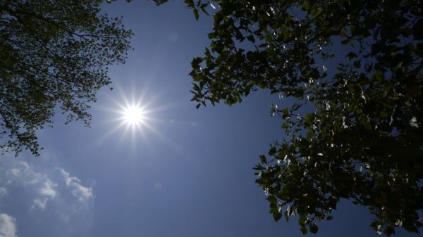 Canicule : la Provence maintenue en vigilance orange ce jeudi, l'alerte rouge levée dans les départements concernés