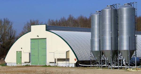 Élevages ICPE : la loi Duplomb, un texte taillé pour l'intensification