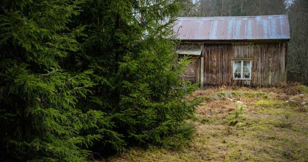 Ils ne savent ni lire, ni écrire et portent toujours des couches : deux enfants cachés en pleine forêt par leur père "obsédé par le Covid"