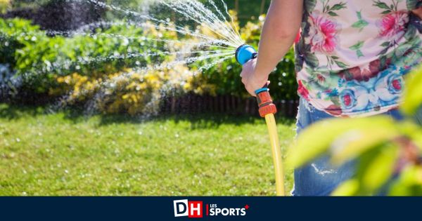 Restrictions d'eau sur la commune de Habay : interdit d'arroser les pelouses, de remplir les piscines... avec de l'eau de distribution