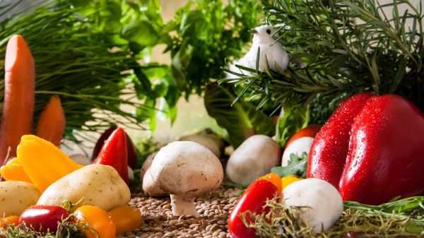 Les agriculteurs bio dénoncent un "hold-up" sur leurs aides