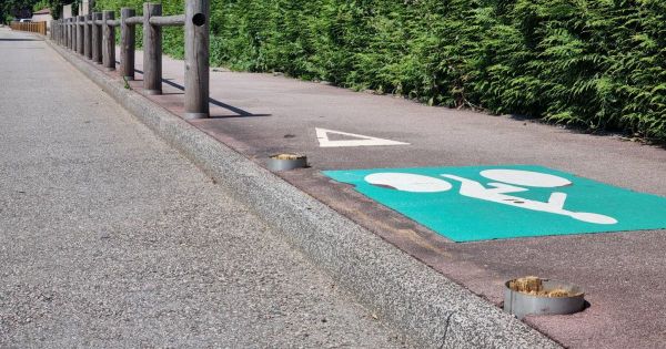 Vosges. Après un accident au volant d'une voiture sans permis à Golbey, un mineur hospitalisé en urgence à Nancy
