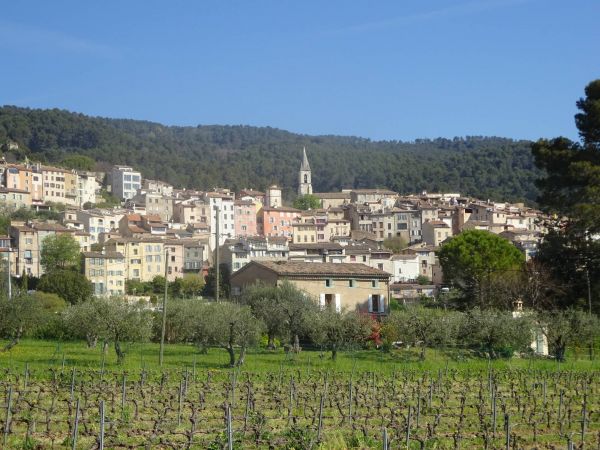 Feux de forêts, micro-crèche, répartition des sièges à l'agglo... Ce qu'il faut retenir du dernier conseil municipal de Callas