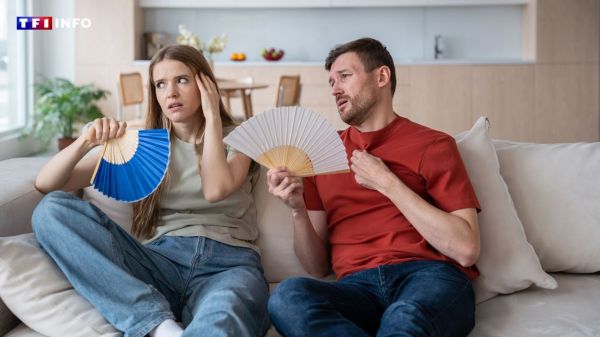 Le saviez-vous ? Il est possible d'envoyer des messages codés à votre crush avec un éventail | TF1 INFO