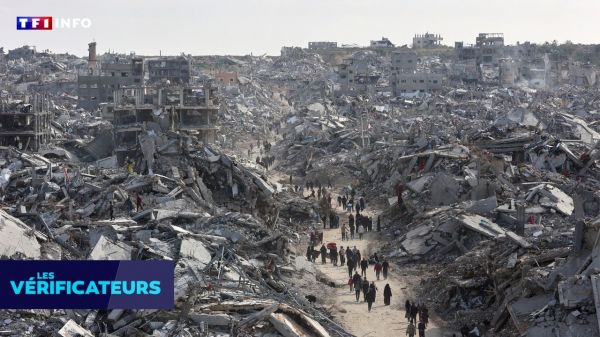 VÉRIF' - Que sait-on des violences meurtrières lors des distributions humanitaires à Gaza ? | TF1 INFO