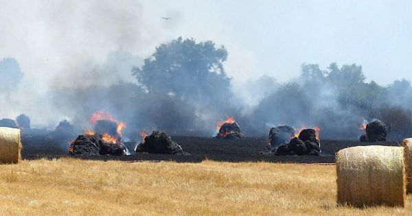 Cronat. Plus d'une soixantaine de pompiers luttent contre un feu de plusieurs hectares dans un champ