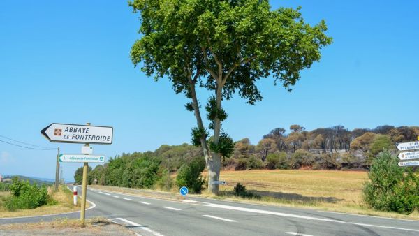 "Notre domicile a été cerné par trois départs de feu" : la propriétaire de Fontfroide témoigne sur ces deux jours critiques après l'incendie de Bizanet causé par un braséro