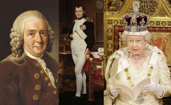 Qui sont les personnages historiques les plus influents sur Wikipedia ?