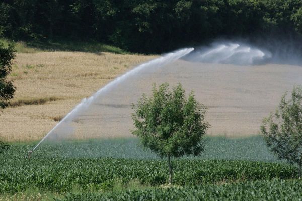 « On va être proche de la situation de 2022 » : la sécheresse frappe déjà fort en Charente, les premières restrictions d'eau tombent