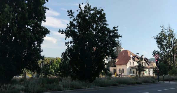 Besançon. Peuchère, les cigales chantent aussi dans la capitale comtoise