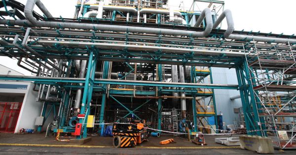Chalampé. BASF seul aux commandes d'Alsachimie après le rachat des parts de Domo Chemicals