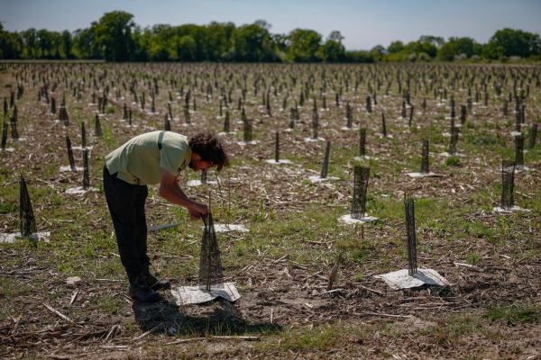 Climat : la Commission affaiblit son objectif de réduction des émissions carbone pour 2040 dans l'espoir d'en faciliter l'adoption