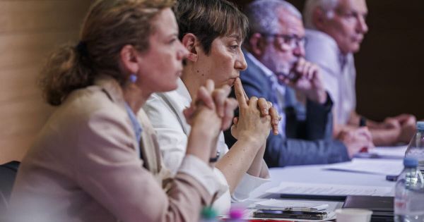 Dermatose nodulaire. Filière laitière menacée, course contre-la-montre... Cette maladie animale qui a déclenché une mobilisation générale
