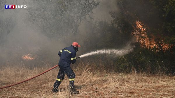 Grèce : un violent incendie se déclare en Crète, des habitants évacués | TF1 INFO