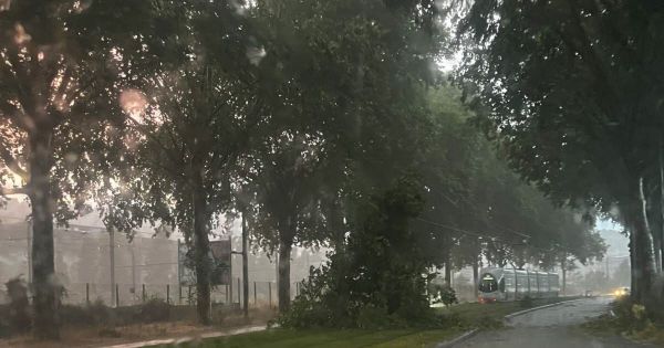 Météo. Arbre sur les voies du tramway, chute des températures : les orages frappent Lyon et le sud du Rhône
